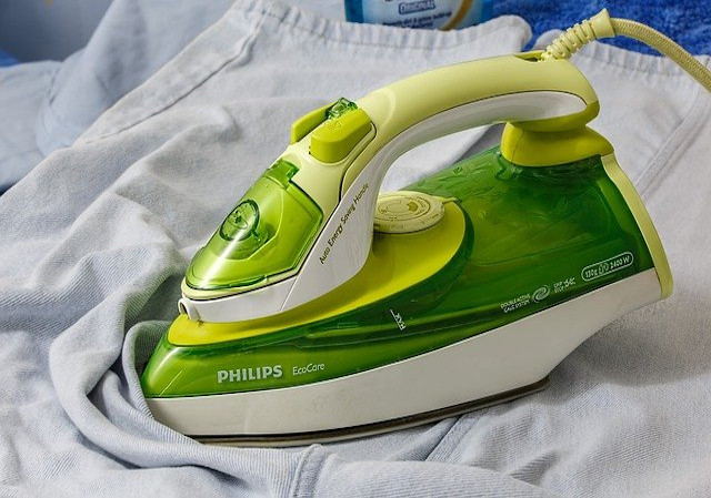 Mend Household Appliances, Steam Irons