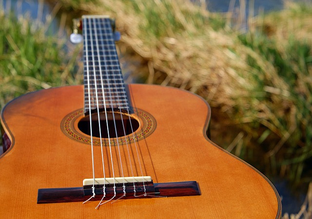 Mend Musical Instruments, Guitars